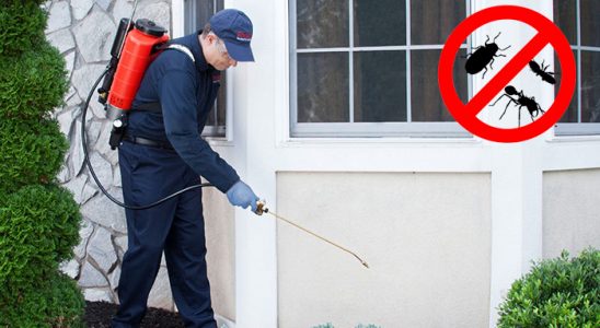Çiçekdağı Uçan Haşere İlaçlama böcek ilaçlama ve haşere kontrolü — ilaclama-tr.com